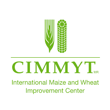 CIMMYT logo